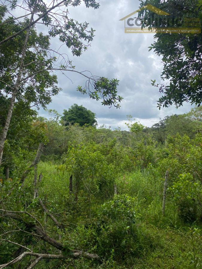 WhatsApp Image 2026-01-29 at 20.11.53 (4).jpeg